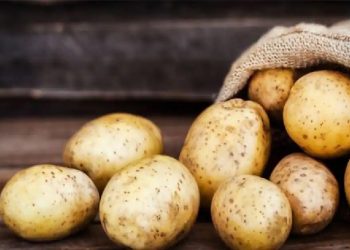 The Potato Power: 9 Unexpected Ways Potatoes Benefit Your Health